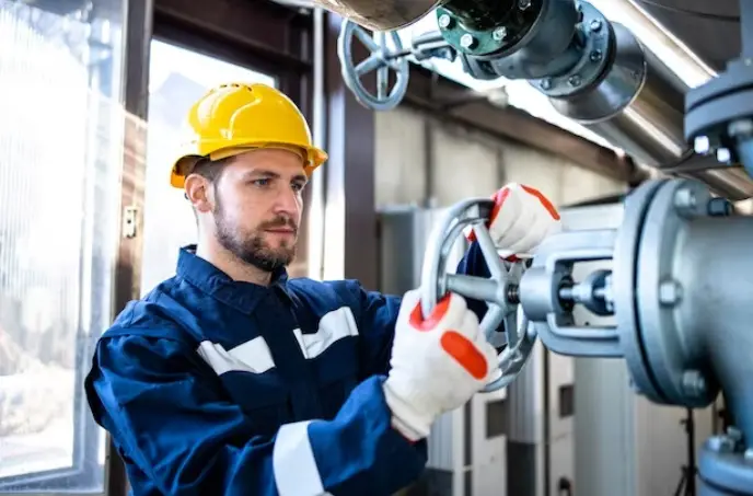 Nr inspeção prévia